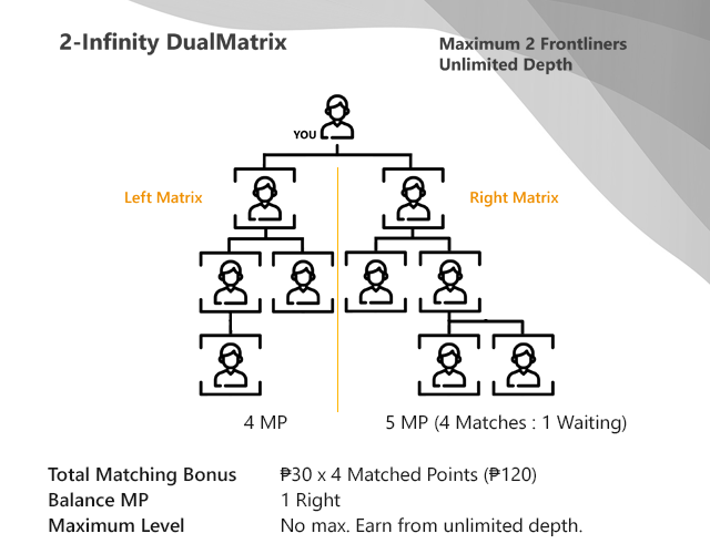DualMatrix Sample Income Computation